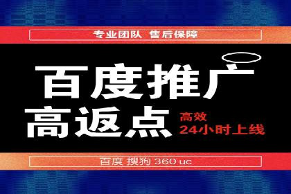 百度SEO优化公司案例：打造品牌网络曝光新高度