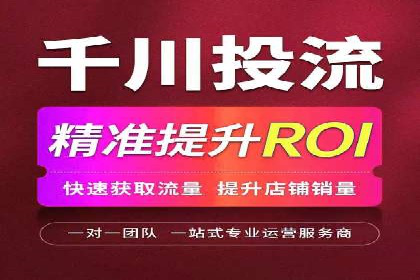 百度品牌专区推广的成效与案例